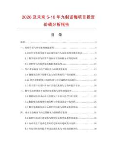 2026及未來5-10年九制話梅項目投資價值分析報告