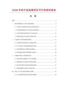 2026年純牛皮紙袋項目可行性研究報告