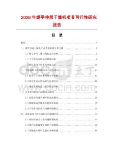2026年绷平伸展干燥机项目可行性研究报告