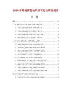 2026年錐柄麻花鉆項目可行性研究報告