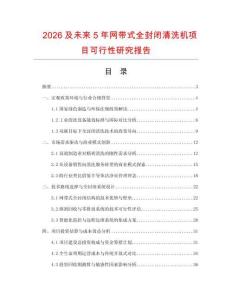 2026及未來5年網帶式全封閉清洗機項目可行性研究報告
