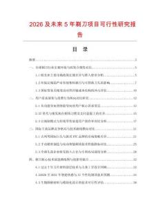 2026及未來5年剃刀項目可行性研究報告