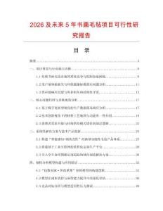 2026及未來5年書畫毛氈項目可行性研究報告