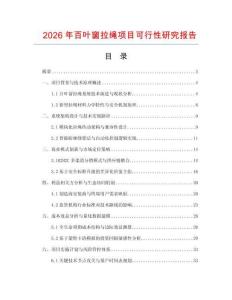 2026年百葉窗拉繩項目可行性研究報告