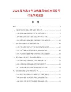 2026及未來5年白色微風效應皮項目可行性研究報告