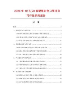 2026年10孔20音塑格彩色口琴項目可行性研究報告