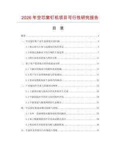2026年空芯窩釘機項目可行性研究報告