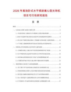 2026年高效臥式水平傾斜離心型光飾機項目可行性研究報告