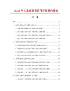 2026年礼盒套装项目可行性研究报告