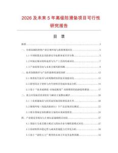 2026及未來5年高級防滑墊項目可行性研究報告