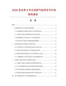 2026及未來5年正逆轉氣鉆項目可行性研究報告