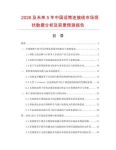 2026及未來5年中國話筒連接線市場現狀數據分析及前景預測報告