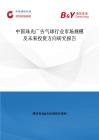 中國珠光廣告氣球行業市場規模及未來投資方向研究報告