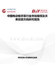 中國電動板手泵行業市場規模及未來投資方向研究報告