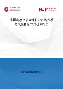 中國電改熱情高漲行業市場規模及未來投資方向研究報告
