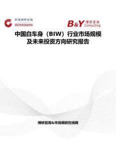 中国白车身（BIW）行业市场规模及未来投资方向研究报告