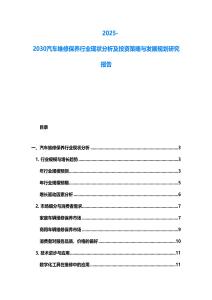 2025-2030汽车维修保养行业现状分析及投资策略与发展规划研究报告