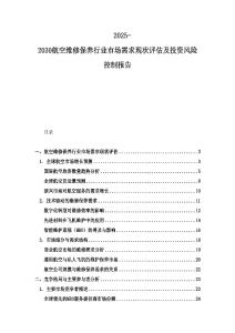 2025-2030航空维修保养行业市场需求现状评估及投资风险控制报告