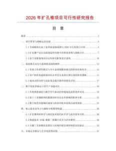 2026年扩孔锥项目可行性研究报告