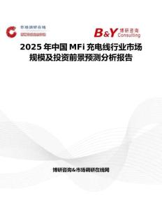 2025年中國MFi充電線行業市場規模及投資前景預測分析報告