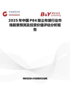 2025年中国P84除尘布袋行业市场前景预测及投资价值评估分析报告