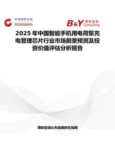 2025年中國智能手機用電荷泵充電管理芯片行業市場前景預測及投資價值評估分析報告