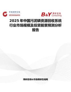 2025年中国污泥磷资源回收系统行业市场规模及投资前景预测分析报告