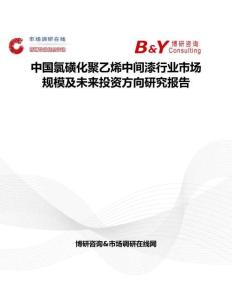 中國(guó)氯磺化聚乙烯中間漆行業(yè)市場(chǎng)規(guī)模及未來(lái)投資方向研究報(bào)告