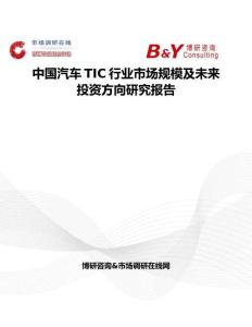 中國汽車TIC行業(yè)市場規(guī)模及未來投資方向研究報(bào)告