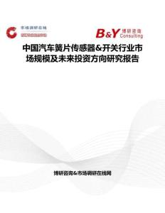 中國汽車簧片傳感器&開關行業(yè)市場規(guī)模及未來投資方向研究報告