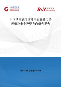 中國活塞式伸縮液壓缸行業市場規模及未來投資方向研究報告