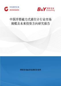 中國浮筒磁力式液位計行業市場規模及未來投資方向研究報告