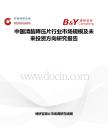 中国清脑降压片行业市场规模及未来投资方向研究报告