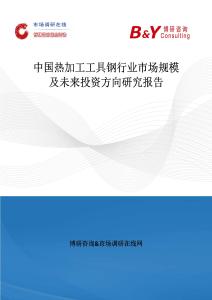 中國熱加工工具鋼行業市場規模及未來投資方向研究報告