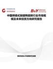 中國焊接式耐磨陶瓷磚行業市場規模及未來投資方向研究報告