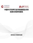 中國牛仔馬甲行業市場規模及未來投資方向研究報告