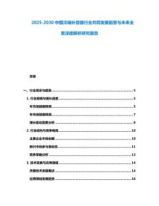 2025-2030中國冷端補償器行業共同發展前景與未來全景深度解析研究報告
