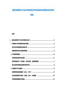 捷克消費電子行業市場供需分析及投資評估規劃分析研究報告
