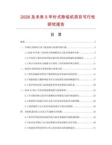 2026及未來(lái)5年針式除垢機(jī)項(xiàng)目可行性研究報(bào)告