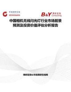 中國相機(jī)無線閃光燈行業(yè)市場前景預(yù)測及投資價(jià)值評(píng)估分析報(bào)告