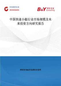 中國快速小艇行業(yè)市場規(guī)模及未來投資方向研究報告