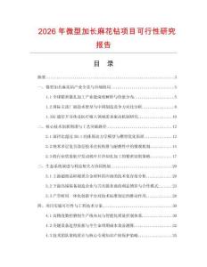2026年微型加长麻花钻项目可行性研究报告