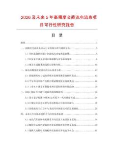 2026及未来5年高精度交直流电流表项目可行性研究报告
