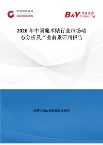 2026年中國(guó)魔術(shù)貼行業(yè)市場(chǎng)動(dòng)態(tài)分析及產(chǎn)業(yè)前景研判報(bào)告