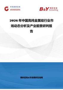 2026年中國高純金屬硅行業(yè)市場動態(tài)分析及產(chǎn)業(yè)前景研判報告