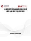 中国普通型珍珠球棉机行业市场规模及未来投资方向研究报告