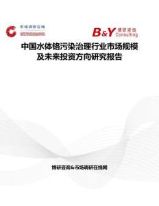 中国水体铬污染治理行业市场规模及未来投资方向研究报告