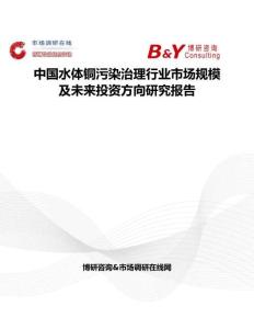 中国水体铜污染治理行业市场规模及未来投资方向研究报告