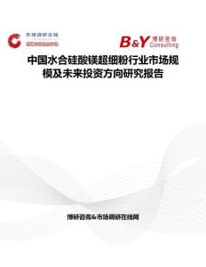 中国水合硅酸镁超细粉行业市场规模及未来投资方向研究报告