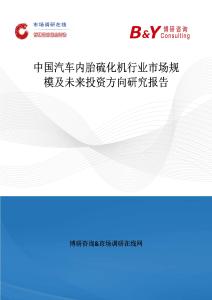 中國汽車內(nèi)胎硫化機(jī)行業(yè)市場規(guī)模及未來投資方向研究報(bào)告